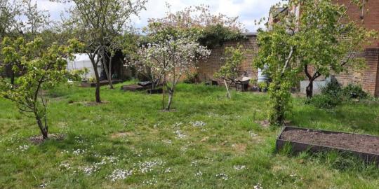 Greeningour valley environment outdoor green area 