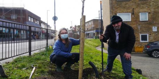 Herbert road infrastructure environment two people planting a tree