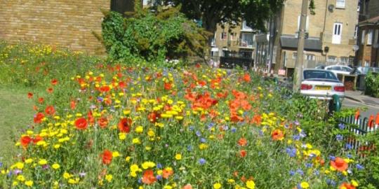 Lambeth bee roads environment of flowers