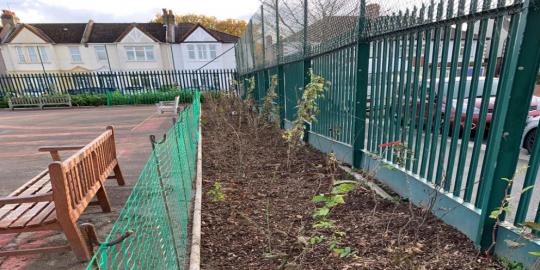 Torridon school green environment with flower bed area empty