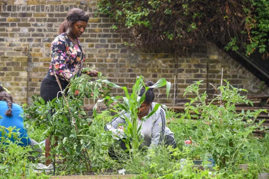 Two women gardening