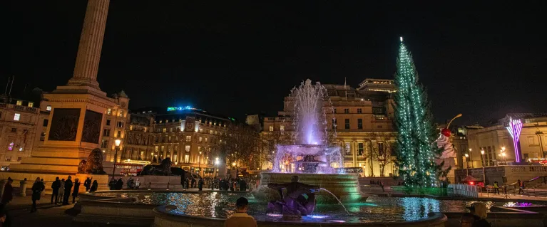 Christmas Tree at Trafalgar Square