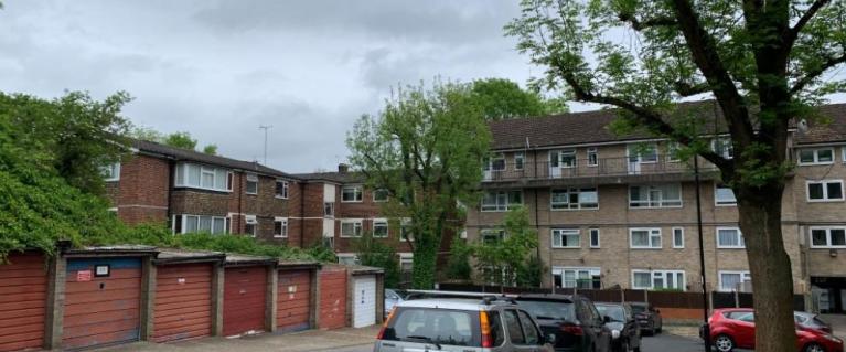 Ivy Road plot picture
