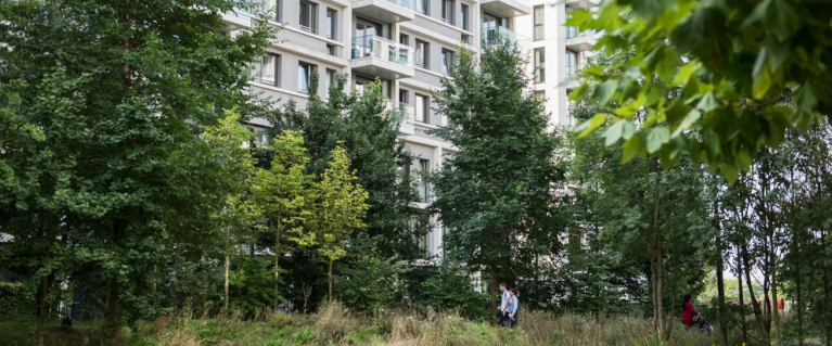 Trees and wild flowers outside residential blocks