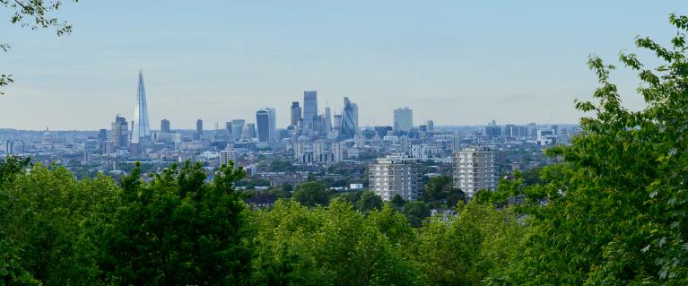 View of London from One Tree Hill