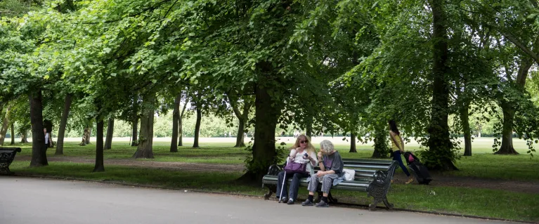people sitting in shade park