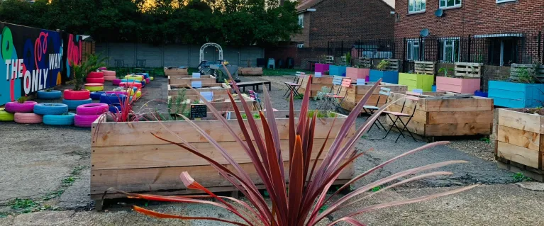 An image of the UP Garden, showing colourful planting pots and some ferns
