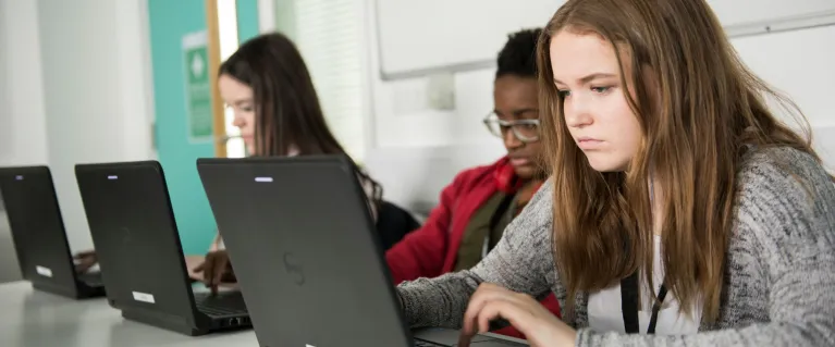 Young woman looking at laptop screen.