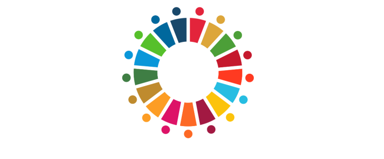 UN SDG logo on white background
