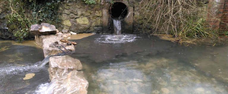 Hogsmill Pollution
