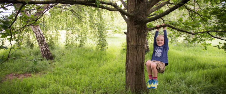 Child in tree