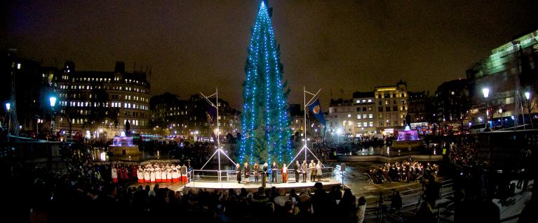 Christmas tree in Trafalgar Square