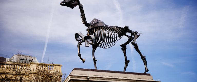 Gift Horse