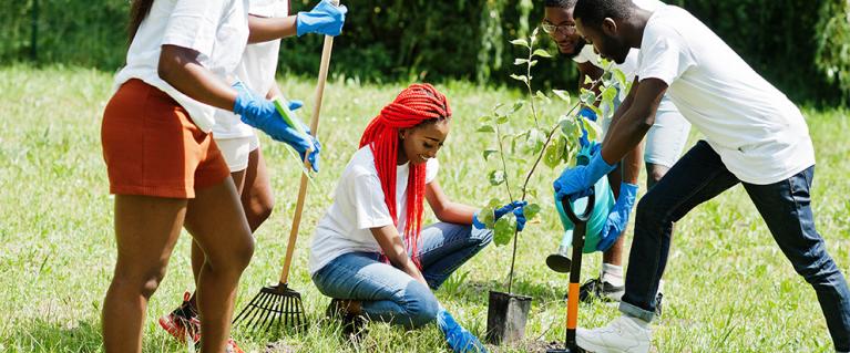 Young people planting seeds in a field