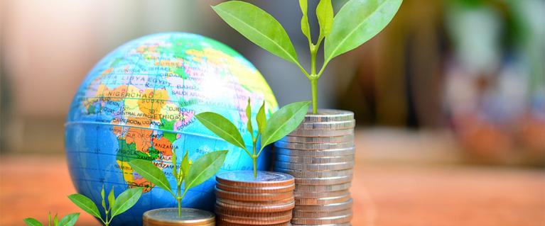 A plant blooming above a roll of coins in front of an atlas