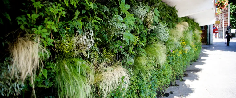 Green infrastructure