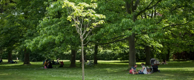 Greener city fund community grants