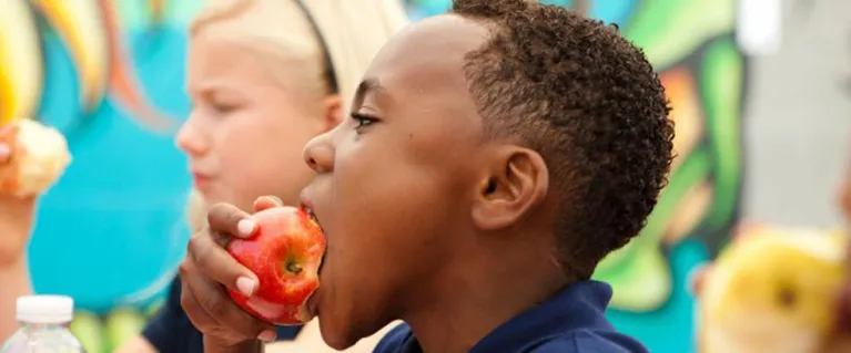 School boy eating apple