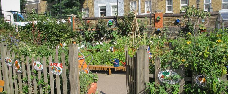 Garden