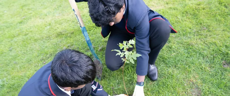 Two students planting a seed in a field