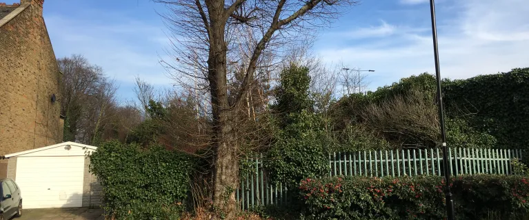 View of Leyton Road