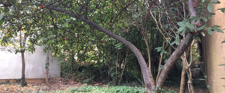 Long Lane plot