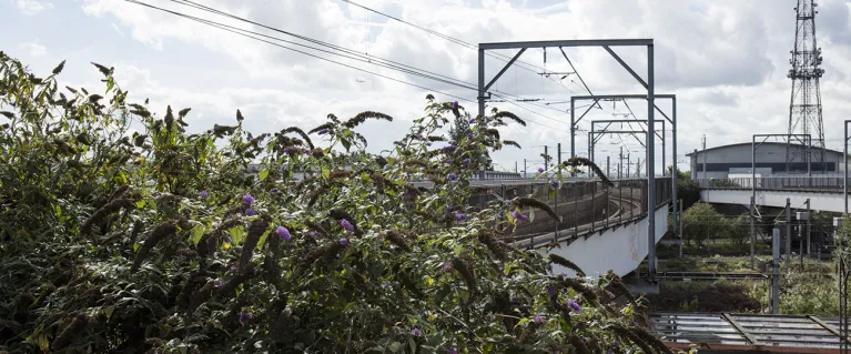 OPDC-train infrastructure