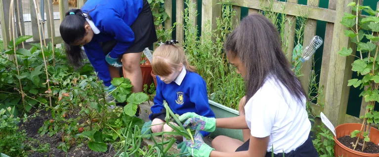 Children growing food