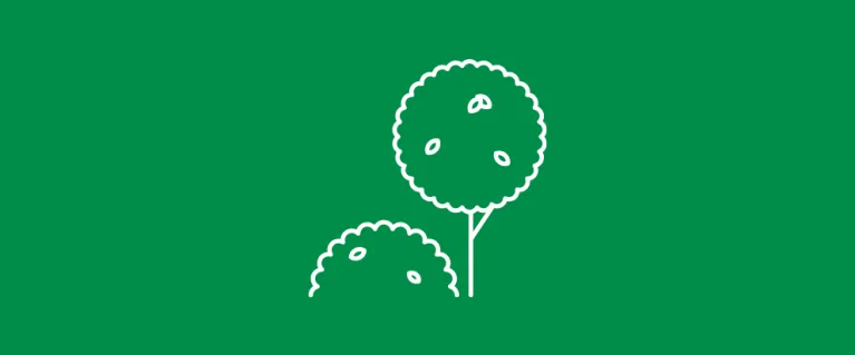 Parks and green spaces coronavirus