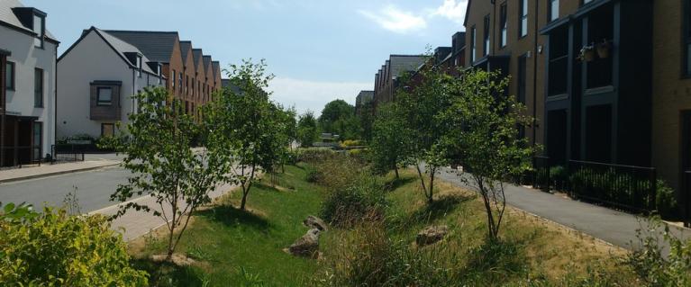 st andrews park 2x1
