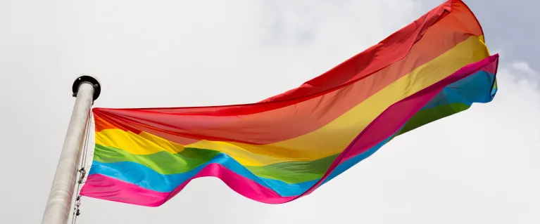 LGBT Pride flag