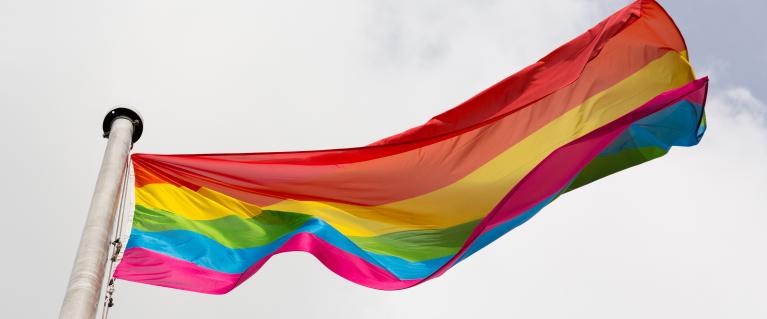 LGBT Pride flag