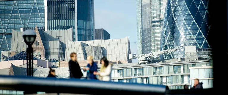 Tourists in the scoop