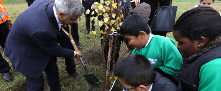 Tree Planting Mayor 1x1