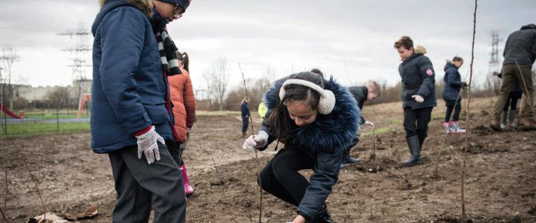 Tree planting in Enfield