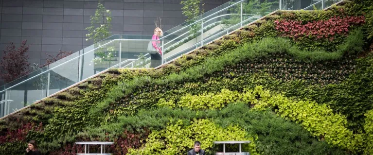 Green walls Stratford