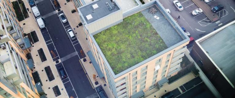 Aerial view of building with rooftop garden on Cannon Road