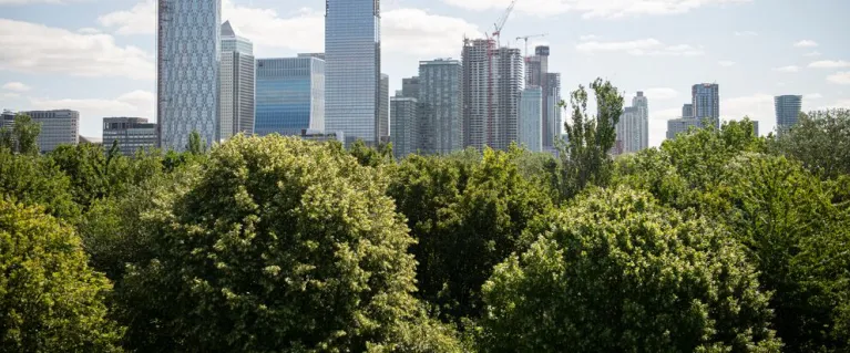 London Urban Forest Partnership