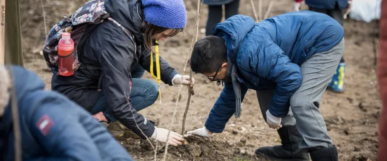 tree planting in enfield