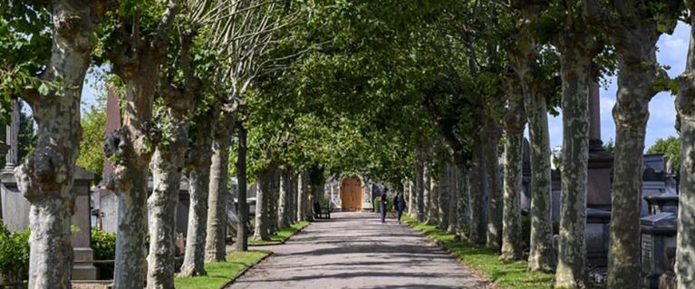 Willesden Cemetery entrance