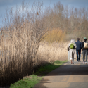 Three people walking
