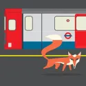 Drawing of a fox waiting on London underground platform