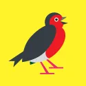 Drawing of Purcell the Robin