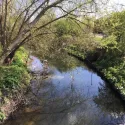 Ealing Brent river