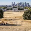Park drought at Greenwich Park