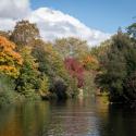 View of Victoria Park pond and trees