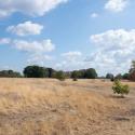 Image of London's dry fields during the 2022 drought
