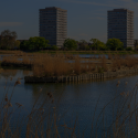 wetlands