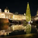 Christmas tree at Trafalgar Square.