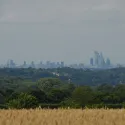 London and grass